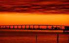 Summer wallpapers22